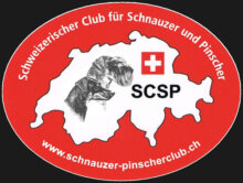 Schweizer Club für Schnauzer und Pinscher | SCSP